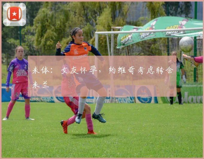 米体：女友怀孕，约维奇考虑转会米兰